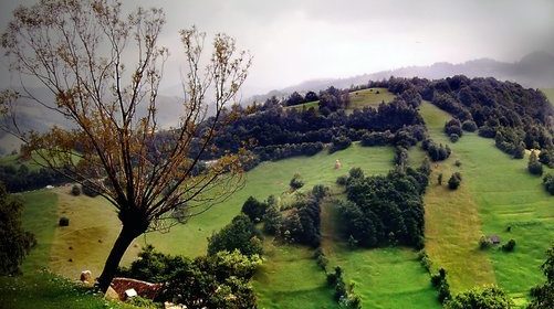 Sensibiliser sur l&rsquo;environnement